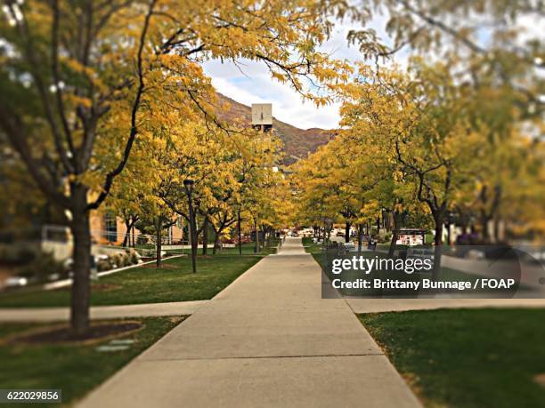 footpath at college campus - university of utah imagens e fotografias de stock