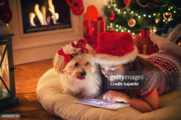 hermosa niña usando tableta digital en la noche de navidad - christmas dog fotografías e imágenes de stock