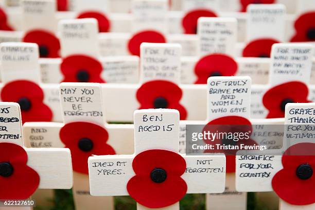 General view of poppies and crosses at the Fields of Remembrance at Westminster Abbey on November 10, 2016 in London, England.