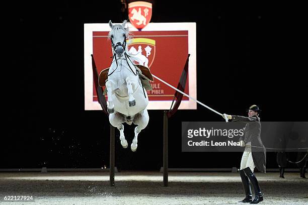 Lipizzan horse from the Spanish Riding School of Vienna takes part in a photocall to promote their upcoming performances at Wembley Arena on November...