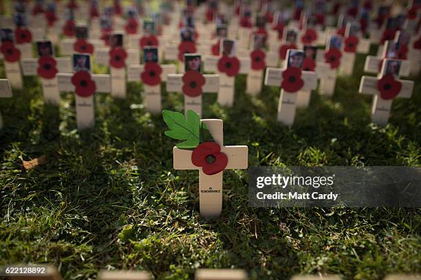 Crosses dedicated to the fallen during an Royal British Legion opening ceremony for the garden of remembrance are seen at the Royal Wootton Bassett...