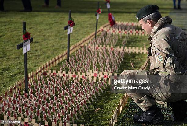 Serviceman looks at crosses dedicated to the fallen in Afghanistan during an Royal British Legion opening ceremony for the garden of remembrance at...