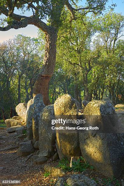 | prehistoric tomb "cova d'en daina" - enroth stock pictures, royalty-free photos & images