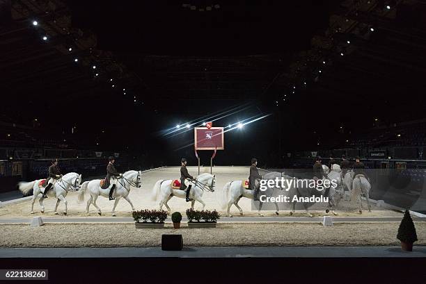 Horse riders from the Spanish Riding School of Vienna perform during their 450th Anniversary tour in London, United Kingdom on November 10, 2016. The...