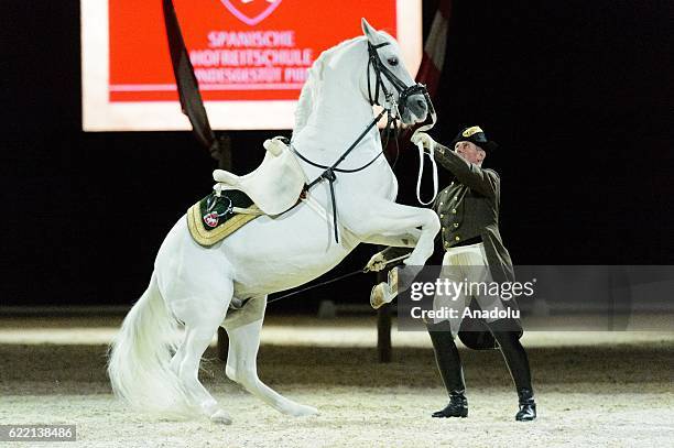 Horse rider from the Spanish Riding School of Vienna performs during their 450th Anniversary tour in London, United Kingdom on November 10, 2016. The...