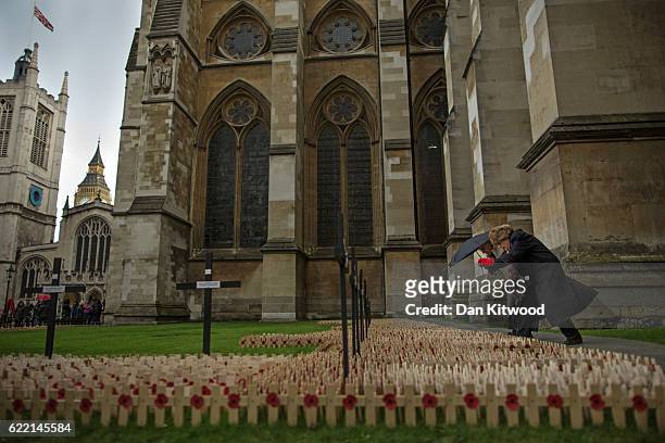 An elderly couple try to find a name amongst the poppies and crosses at the Fields of Remembrance at Westminster Abbey on November 10, 2016 in...