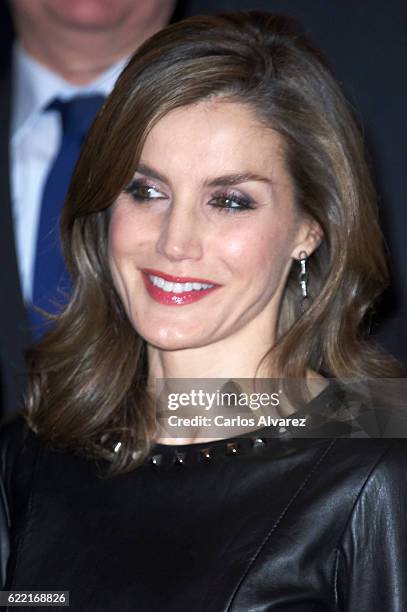 Queen Letizia of Spain attends the 'Francisco Cerecedo' journalism award at the Ritz Hotel on November 10, 2016 in Madrid, Spain.