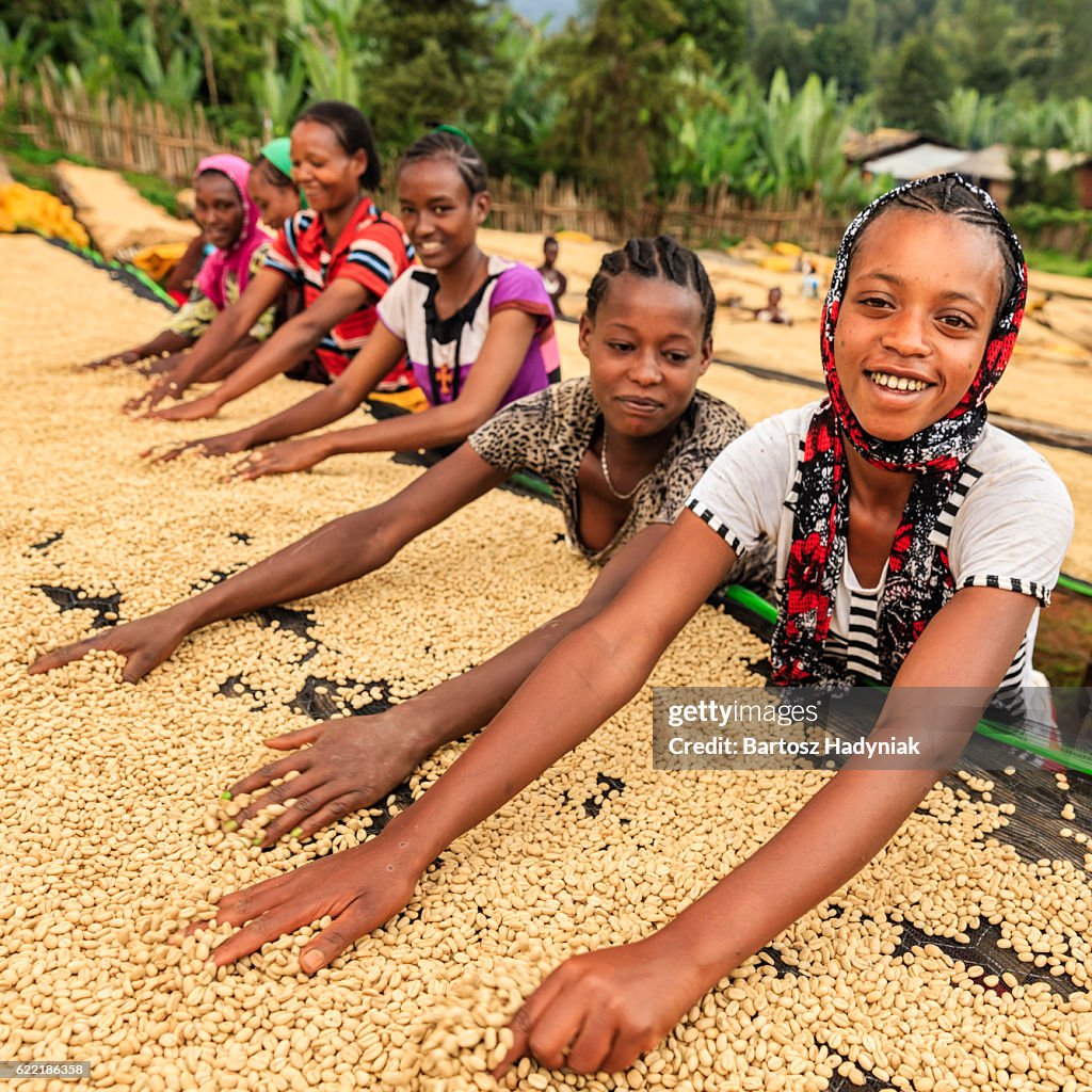 Filles et femmes africaines triant les grains de café, Afrique de l’Est