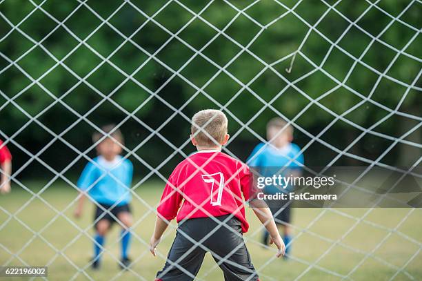 goalie guarding the net - fat soccer players stock pictures, royalty-free photos & images