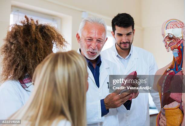 anatomy class - anatomical model stock pictures, royalty-free photos & images