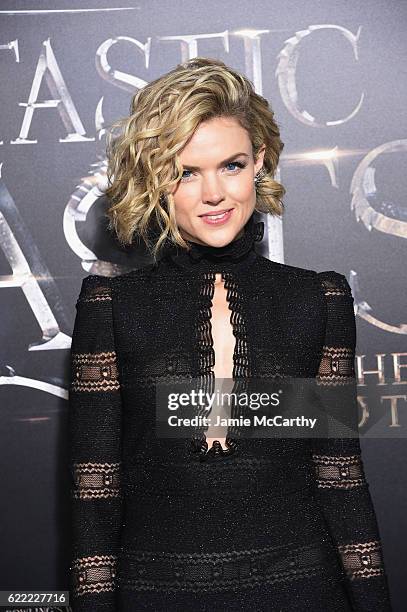 Erin Richards attends the "Fantastic Beasts And Where To Find Them" World Premiere at Alice Tully Hall, Lincoln Center on November 10, 2016 in New...