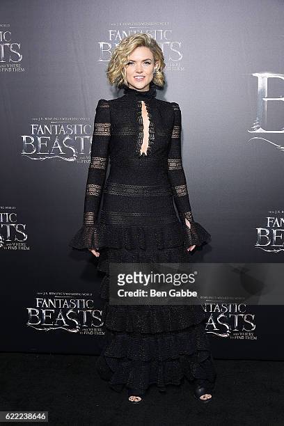 Actress Erin Richards attends the 'Fantastic Beasts And Where To Find Them' World Premiere at Alice Tully Hall, Lincoln Center on November 10, 2016...