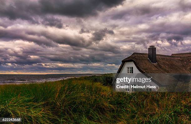 house in the dunes - reed house stock pictures, royalty-free photos & images