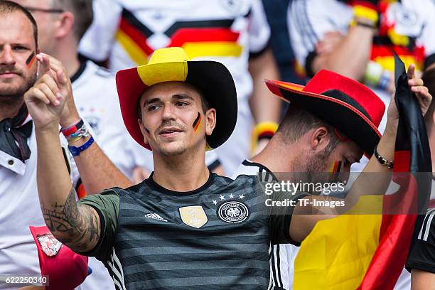 Europameisterschaft in Frankreich, Paris, Nordirland 1, feature, Fan, Fans Deutschland