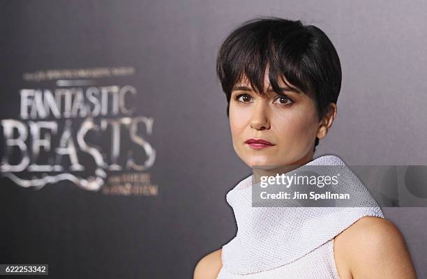 Actress Katherine Waterston attends the "Fantastic Beasts And Where To Find Them" world premiere at Alice Tully Hall, Lincoln Center on November 10,...
