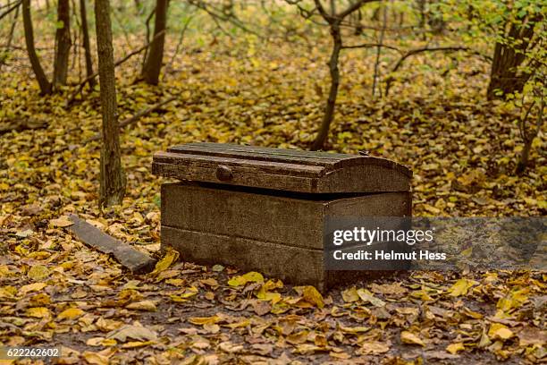 wooden chest - schatkist stockfoto's en -beelden