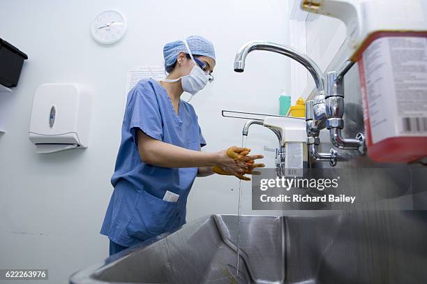 washing hands in hospital - schoonschrobben stockfoto's en -beelden