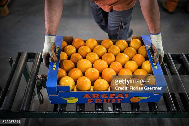 Worker is lifting a crate of oranges from an assembly line on November 04, 2016 in Nafplion, Greece.