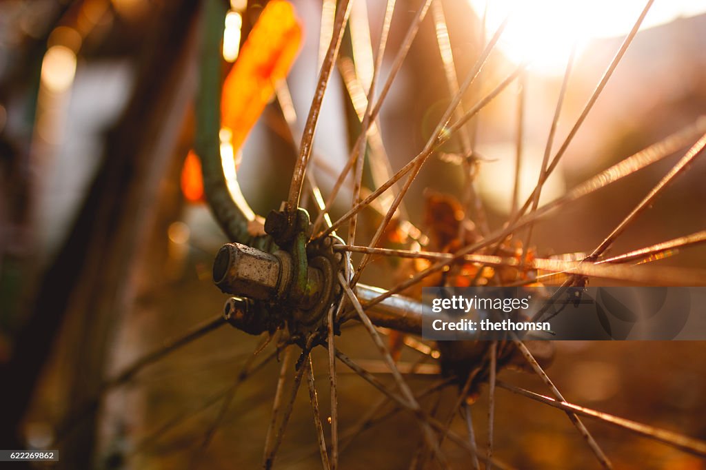 The Forgotten One - Old Bicycle at Autumn Sunset