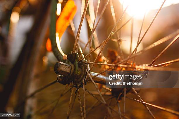 the forgotten one - old bicycle at autumn sunset - rust   germany stock pictures, royalty-free photos & images