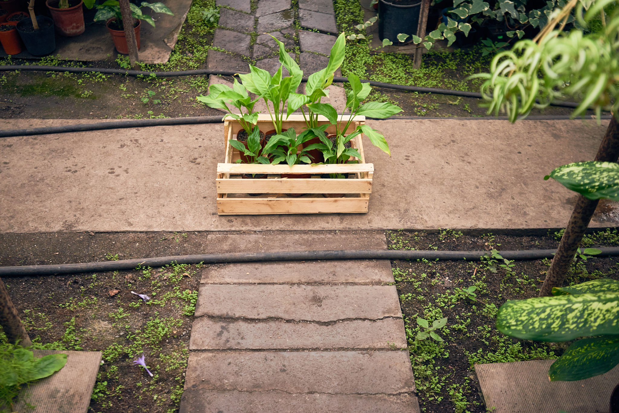 reclaimed wood gardening