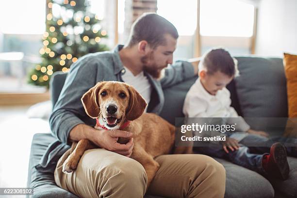 boys fun time. - pets christmas stock pictures, royalty-free photos & images