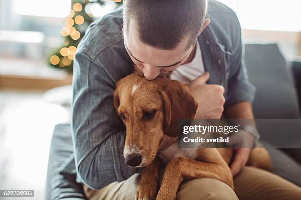 he really is man's best friend - hug christmas stock pictures, royalty-free photos & images