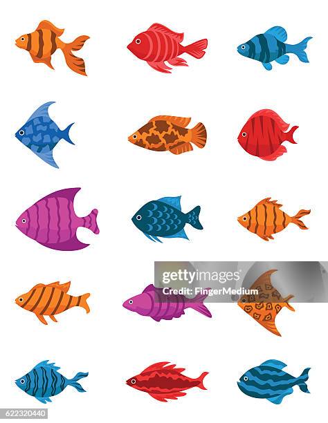 3 640点の熱帯魚イラスト素材 Getty Images 3 640点の熱帯魚イラスト素材 Getty Images