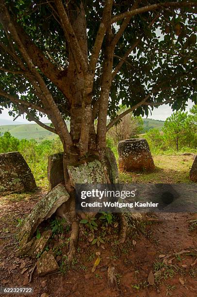 The Plain of Jars consists of thousands of stone jars scattered around the upland valleys and the lower foothills of the central plain of the...