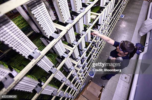 Bt Network Engineer 24 Broadband Engineer In Home Stock Photos, High-Res Pictures, and ...