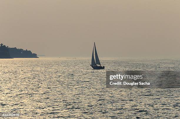 thistle sailboat in the distant lake - eselsdistel stock-fotos und bilder