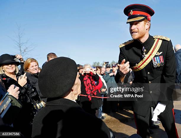 Prince Harry speaks to a veteran at the Armed Forces Memorial during The Armistice Day commemorations at The National Memorial Arboretum on November...