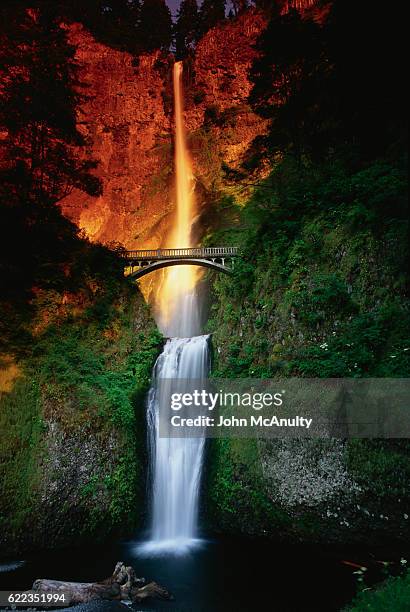 multnomah falls - multnomah falls stock pictures, royalty-free photos & images