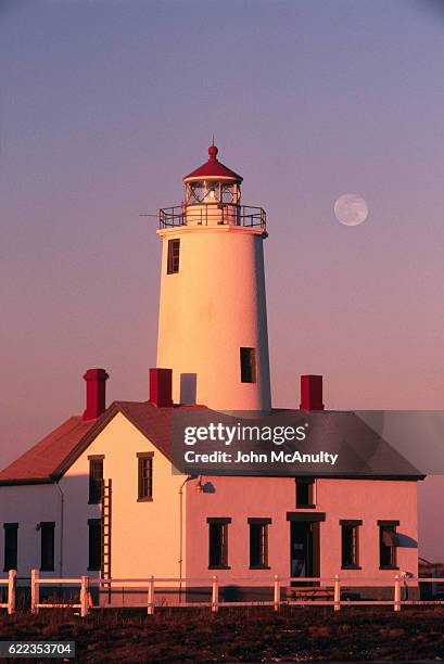 new dungeness lighthouse - sequim stock pictures, royalty-free photos & images