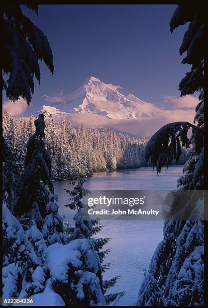 mount hood and lost lake - lost lake stock pictures, royalty-free photos & images