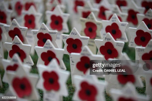 Crosses of Remembrance, bearing the names of fallen soldiers, are pictured in the Field of Remembrance at Westminster Abbey in central London on...