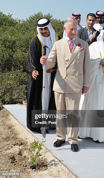 Prince Charles, Prince of Wales plants a mangrove tree during a visit to the Tubil Bay regeneration project on day 4 of a Royal tour of Bahrain on...