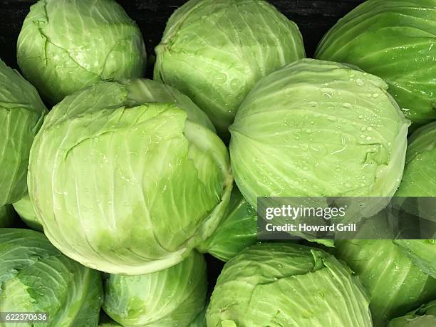 cabbages - col fotografías e imágenes de stock