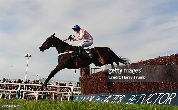 Seven ridden by Nico De Boinville jumps the last to win the Steel Plate and Sections Novices Steeple Chase at Cheltenham Racecourse on November 11,...