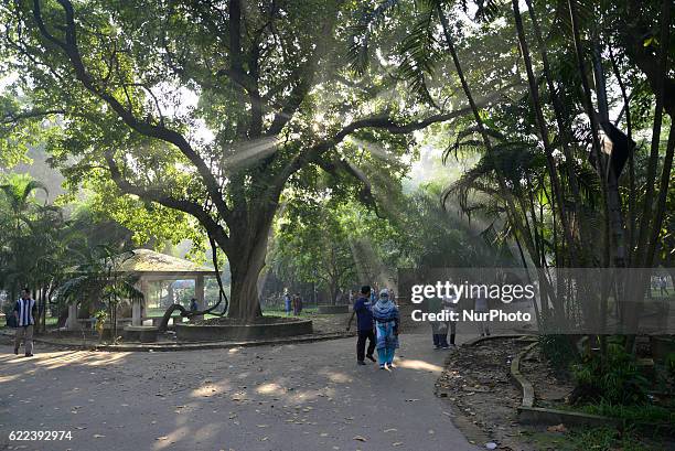 Bangladeshi Peoples are walking for good health at winter morning in the Ramna Park in Dhaka, Bangladesh on November 11, 2016