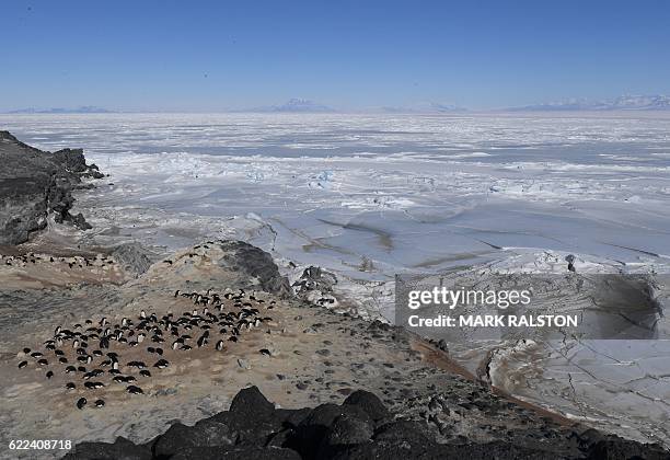 An Adelie penguin colony beside the frozen Ross Sea area near McMurdo Station, Antarctica on November 11, 2016. Kerry is visiting the station as he...