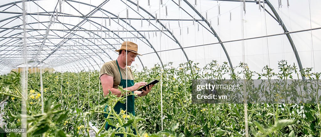 Farmer with digital tablet in greenhouse