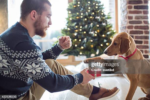 this is for you my friend - dog christmas present stock pictures, royalty-free photos & images