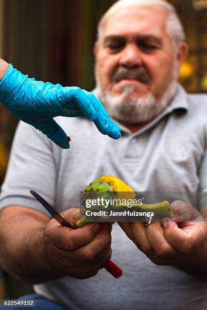 sicily: man peeling prickly pear fruit; gloved hand reaching - catania stockfoto's en -beelden