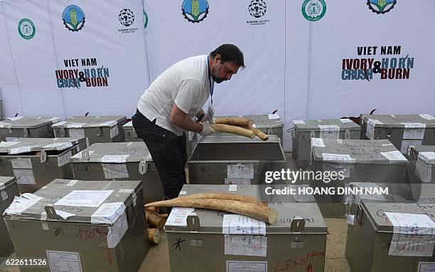 Professor Samuel Wasser from University of Washington inspects seized ivory as he helps to collect samples for DNA analyses during the country's...