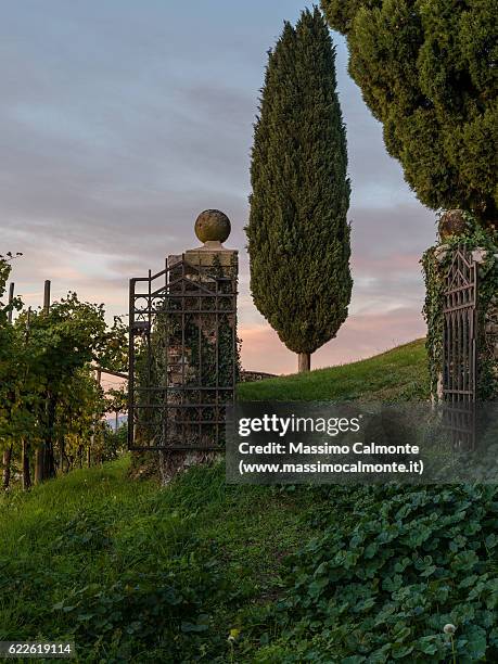 san vigilio church in treviso province, italy - venezien stock-fotos und bilder