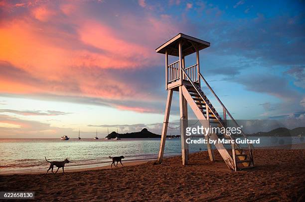 rodney bay, saint lucia - tropical sunsets stock pictures, royalty-free photos & images