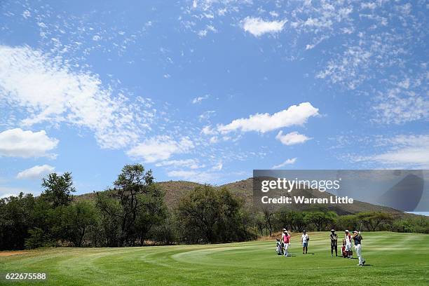 Jeunghun Wang of Korea plays his second shot into the 14th green during the third round of the Nedbank Golf Challenge at the Gary Player CC on...