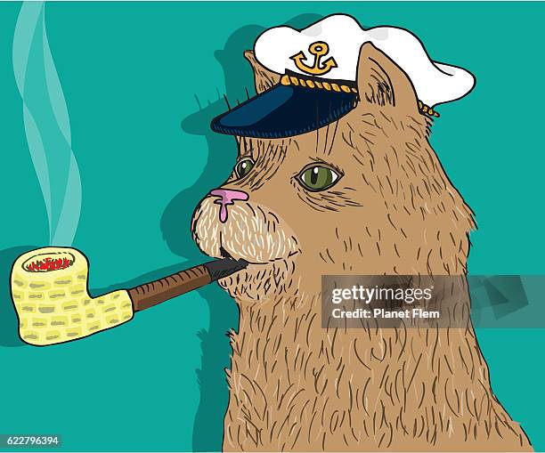 kapitän katze rauchen eine maispfeife - kapitänsmütze stock-grafiken, -clipart, -cartoons und -symbole