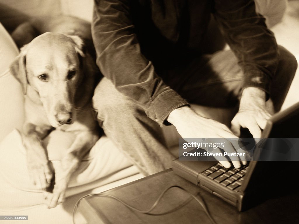 Dog with Man Using Laptop